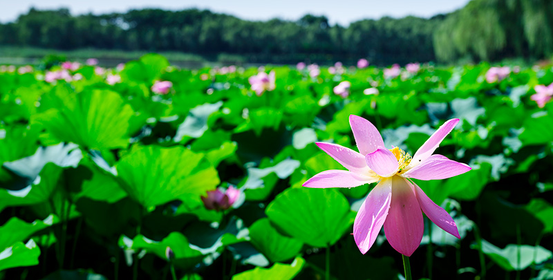 upay钱包 -轻松支付,安心选择