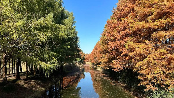 013461f5f48b7b58235ba4d58ef36112