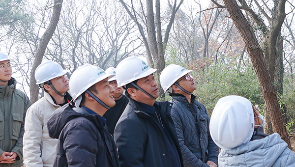 72b78ecea2c67d113bf46bbb6cea26b5