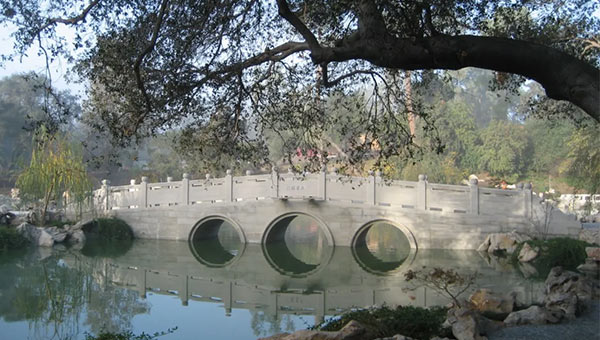 6c5037a1d4c0bd3ec75f4f50c52e6df8