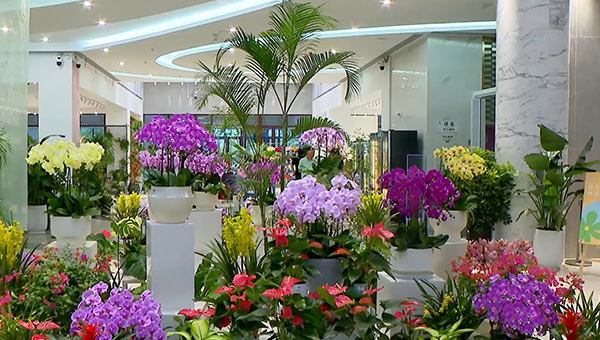 dfe4943a5584cf8fbe8108aebd79d35c