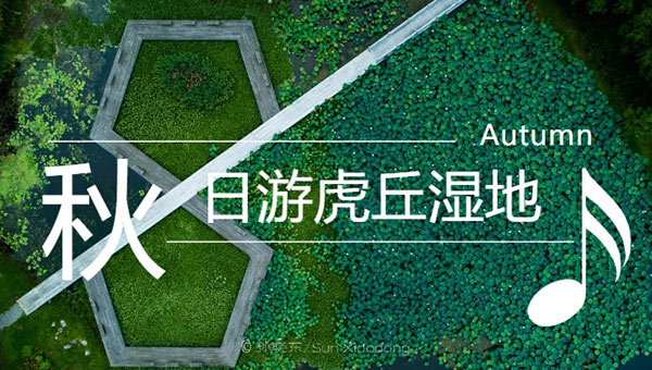 407735d57fceb6b3eb05ce0eb4f26023