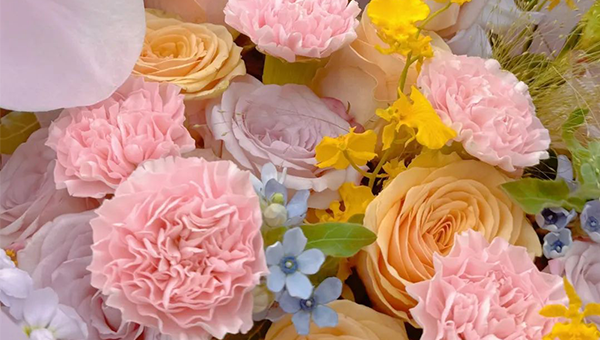 7a38e5f3ad8815f31a9e434ab020426c